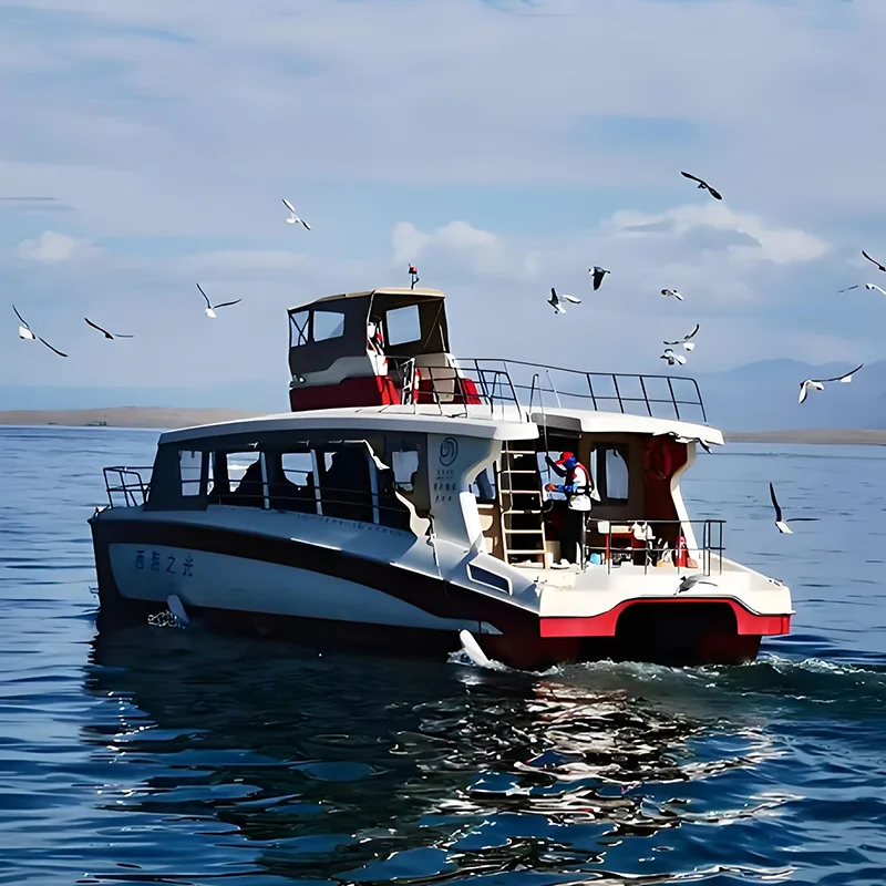 Ferry passeggeri catamarano da 15 m